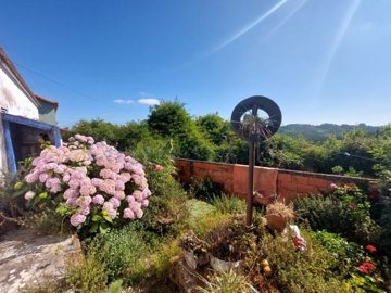 id499ea001-0000-0500-0000-000015f97e8d