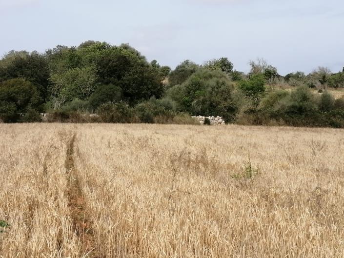 Image No.2-Land for sale