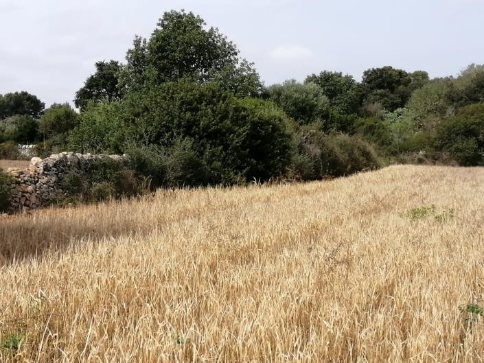 Image No.6-Land for sale