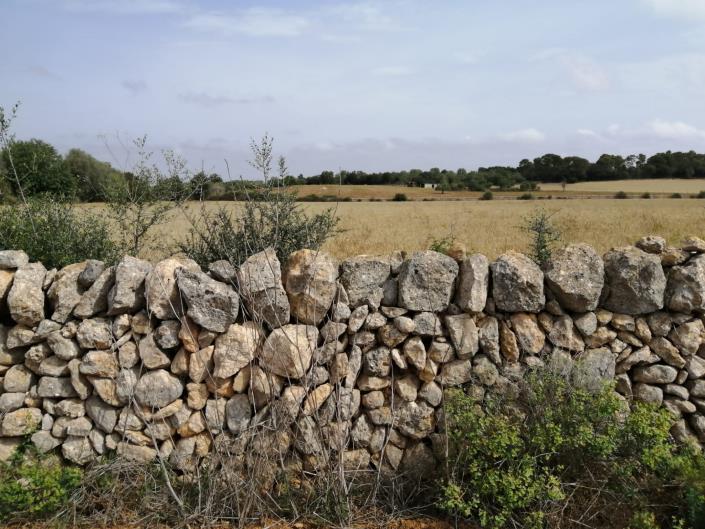 Image No.8-Land for sale