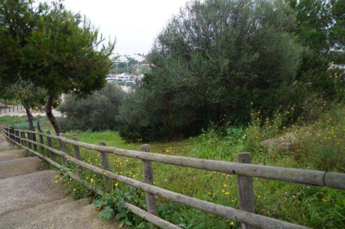 Image No.2-Plot for sale