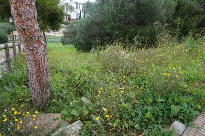 Image No.1-Plot for sale