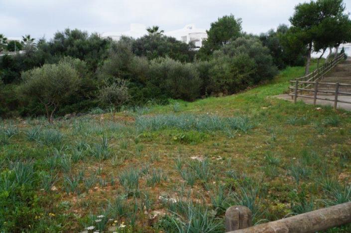 Image No.3-Plot for sale