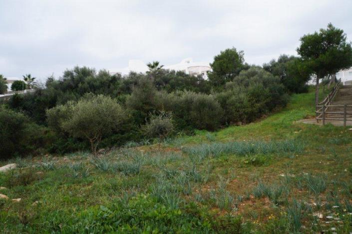 Image No.4-Plot for sale