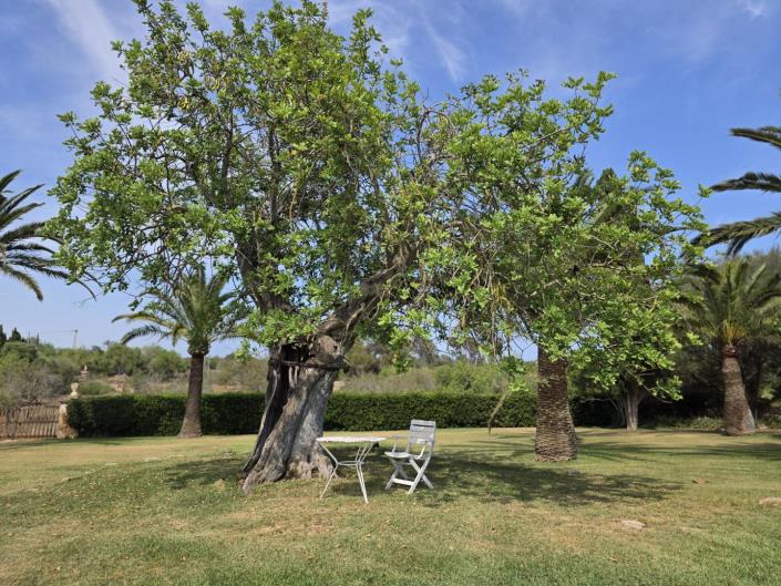 Image No.39-6 Bed Village House for sale