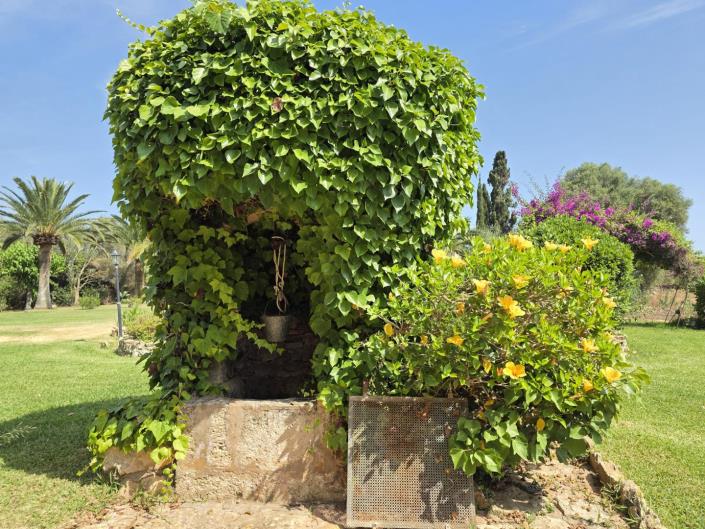 Image No.51-6 Bed Village House for sale