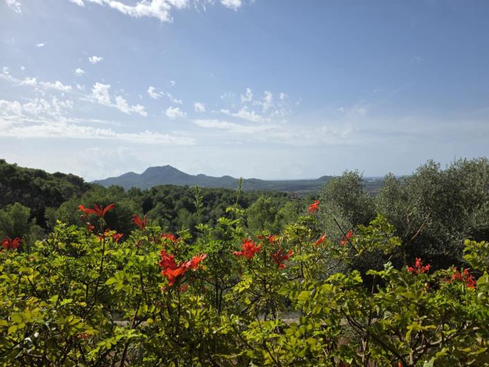 Image No.3-3 Bed Country House for sale