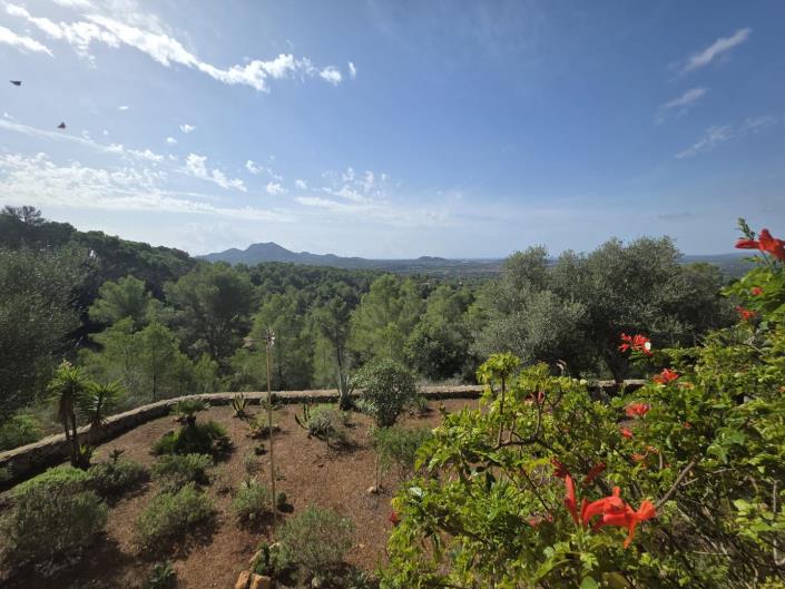 Image No.22-3 Bed Country House for sale