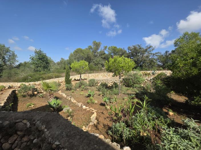 Image No.18-3 Bed Country House for sale