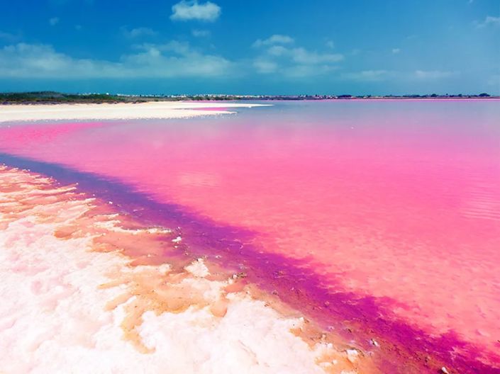 Image No.11-1 Bed Apartment for sale