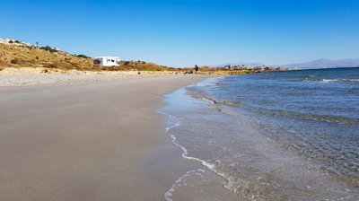 87f5e001ed43757667e041845137a15f