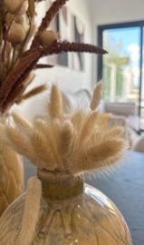 cca8b43a8ed653b9ae033d22594a8385