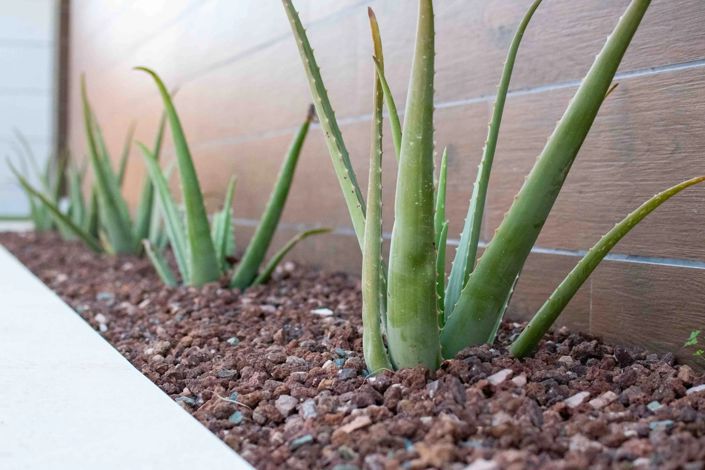 Image No.4-3 Bed Villa for sale