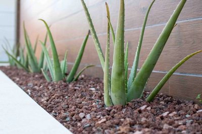 dae787bd05144d3062f9aec5cd59e830