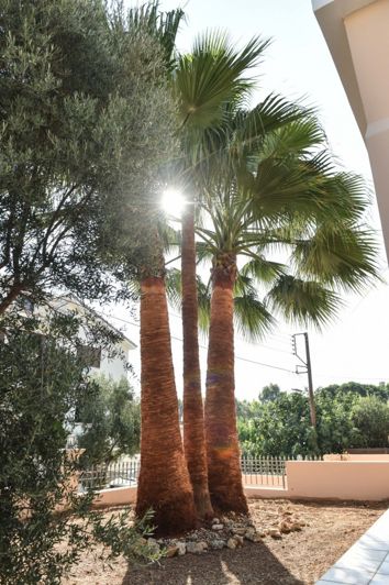 Image No.7-3 Bed Townhouse for sale