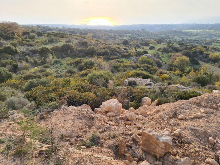 Image No.3-Land for sale