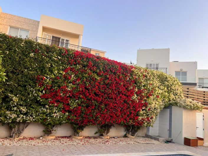 Image No.16-3 Bed Bungalow for sale