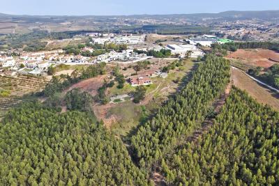 Cadaval-W-046KX9_00044