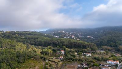 Engel_TerrenoSintra-11