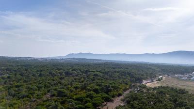 EngelVolkers_AzenhasDoMar-19