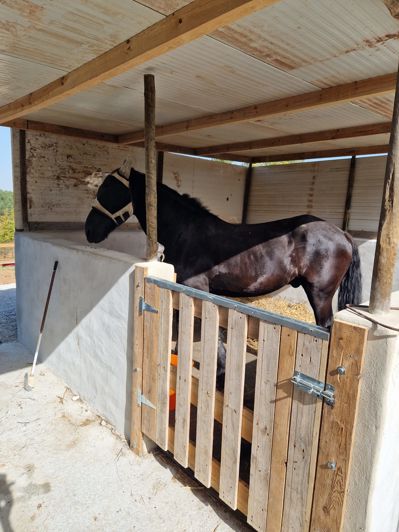 Image No.18-5 Bed Villa for sale