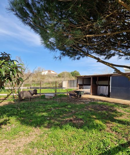 Image No.19-5 Bed Villa for sale