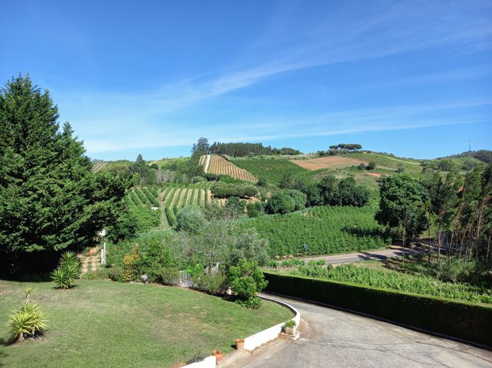 Image No.15-4 Bed Villa for sale