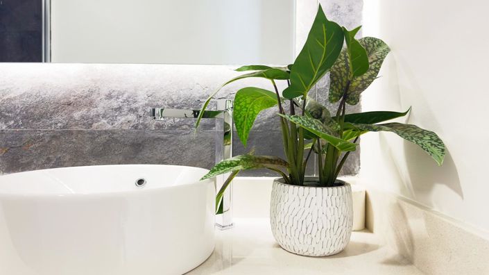 Image No.6-2 Bed Property for sale