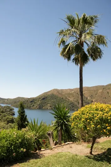 Image No.38-Propriété de 6 chambres à vendre à Istán