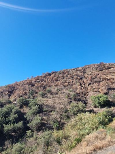 Image No.11-Land for sale