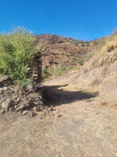 Image No.4-Land for sale