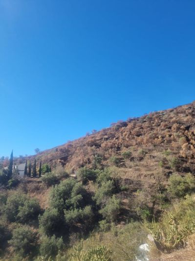 Image No.8-Land for sale