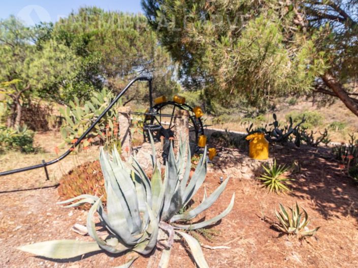 Image No.27-3 Bed House for sale