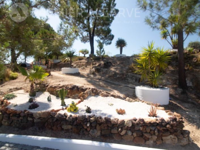 Image No.29-3 Bed House for sale