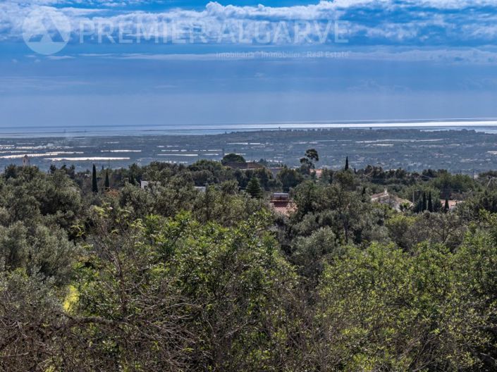 Image No.42-6 Bed House for sale