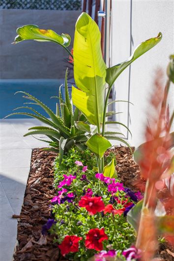 Image No.30-3 Bed Villa for sale