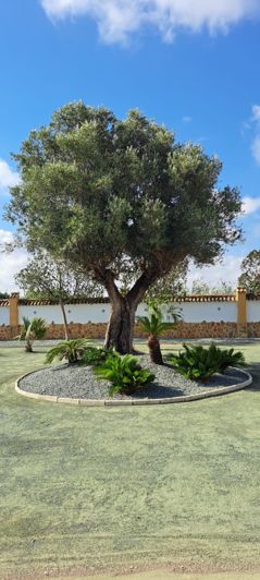 Image No.10-3 Bed Villa for sale