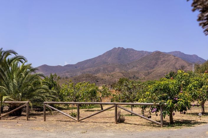 Image No.17-3 Bed Villa for sale