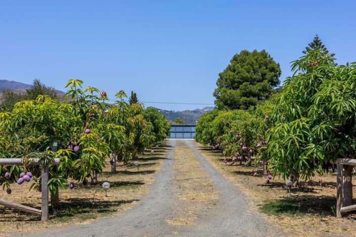 Image No.20-3 Bed Villa for sale