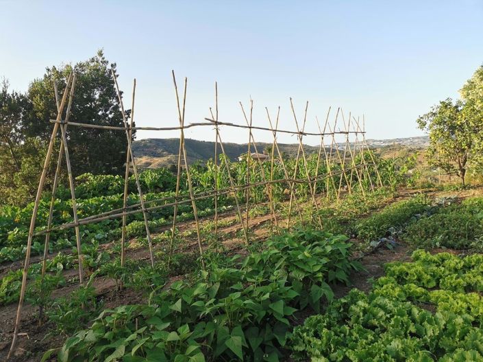 Image No.22-3 Bed Villa for sale