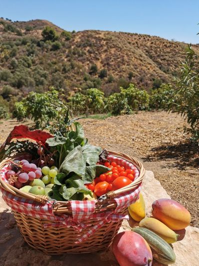 Image No.23-3 Bed Villa for sale