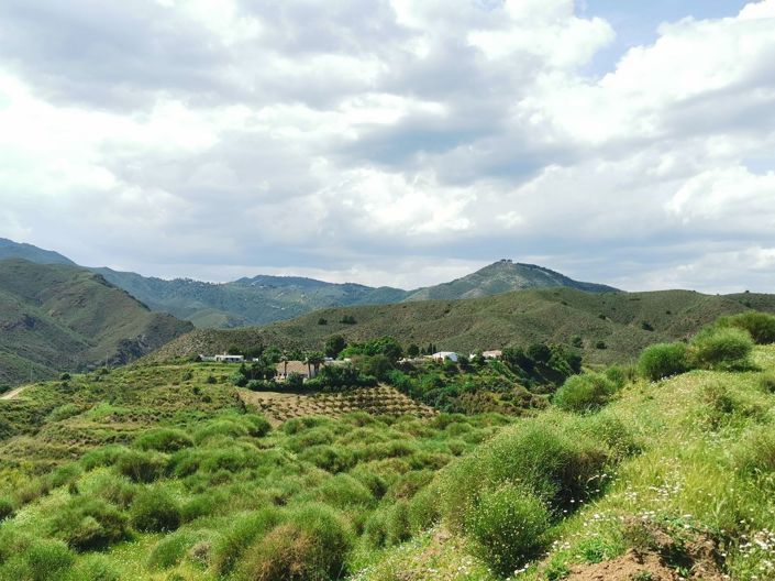 Image No.24-3 Bed Villa for sale