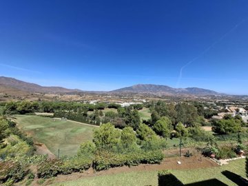 3982-708126-78d1f4f8b6655591b02d22fabb36a692d