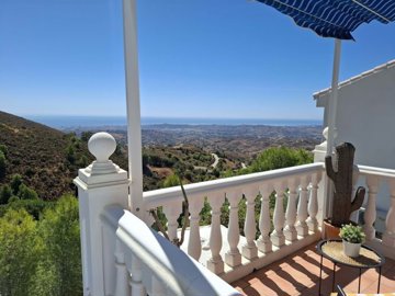 3982-715996-78d1f4f8b6655591b02d22fabb36a692d