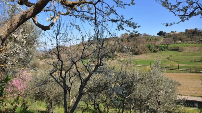 Image No.20-6 Bed Apartment for sale