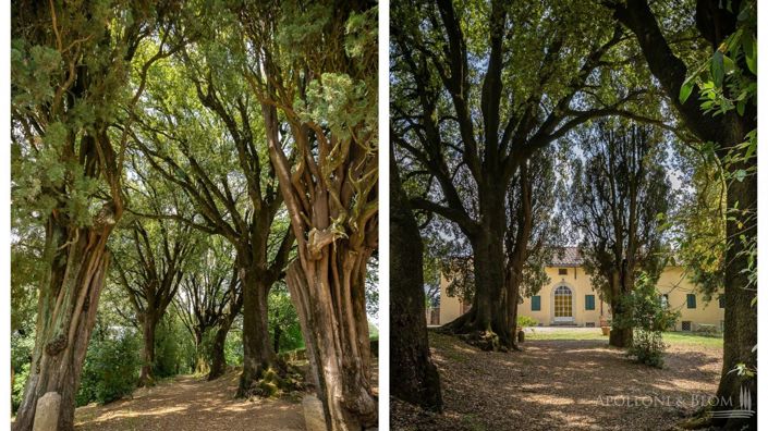 Image No.16-13 Bed Villa for sale