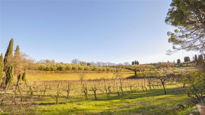 Image No.30-7 Bed Apartment for sale