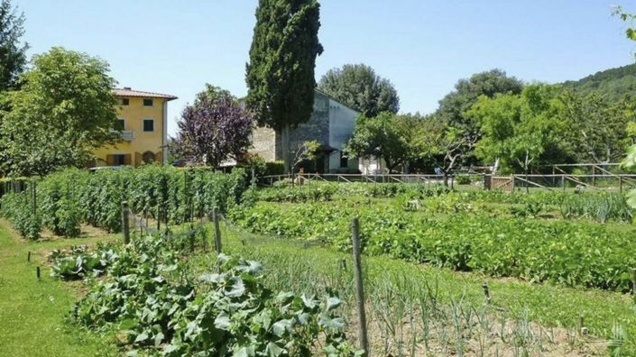 Image No.4-18 Bed Vineyard for sale