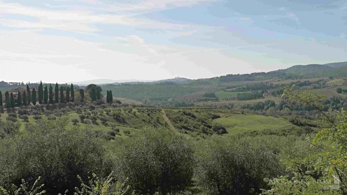 Image No.10-13 Bed Vineyard for sale