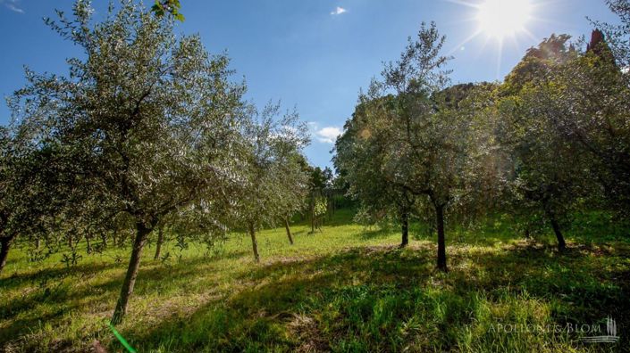 Image No.29-8 Bed Villa for sale